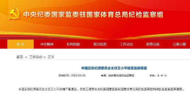 精品福利视频在线观看